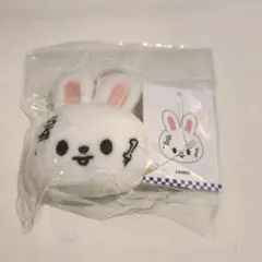 ネームタグ リービット リノ NAME TAG SKZOO KARMA