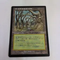 ✿Magic The Gathering ガイアの揺藍の地トレーディングカード