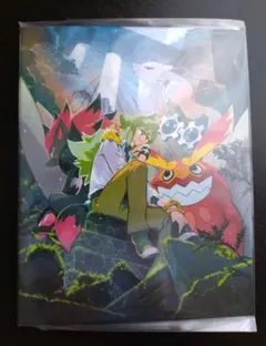 ポケモン N ゾロアーク カードファイル