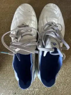 Item thumbnail for item d97831d5-4b72-4b0a-8970-28a74e6e90fd