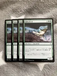 MTG 強靭な狩り手4枚セット　2点目無料　1130