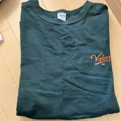 Item thumbnail for item 4232a14c-5e15-4c62-ae35-2ba9b25050f1