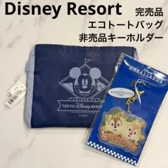 東京ディズニーリゾート ショッピングバッグ パーク柄 エコバッグ　キーホルダー