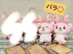 イワシカちゃん