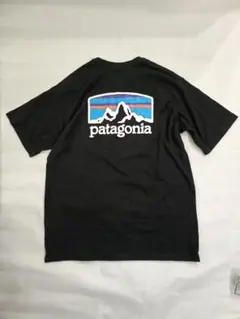 patagonia ブラック Tシャツ バックプリント