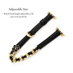 WHIMVOY Apple Watch シリーズ 10 - 42mm
