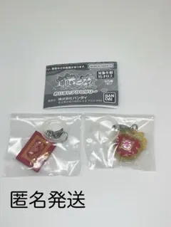 明日のナージャ めじるしアクセサリー　ブローチ&日記帳　2点セット