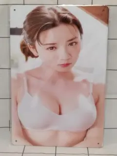 永野芽郁 メタルポスター ブリキ看板 20cm×30cm