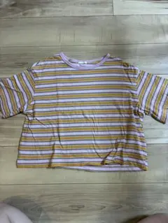 ストライプ クロップド Tシャツ Mサイズ GU