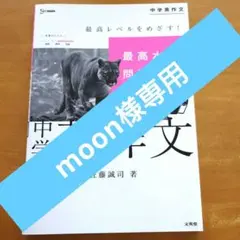 中学英作文 最高水準問題集　初めの２ページのみ書き込みありのサムネイル