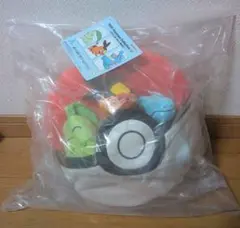 メルカリ最安値⁉️早い者勝ち‼️11/09時点