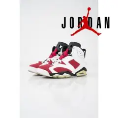 NIKE AIR JORDAN 6 CARMINE ジョーダン 6 カーマイン