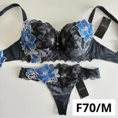 ☆新品 C70 L サルート 02G ブラ＆ショーツ セット GB - メルカリ