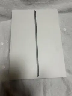 iPad Air第3世代256GB Wi-Fi スペースグレイ A2152 本体