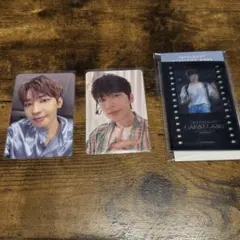 SEVENTEEN CARAT LAND 2024 ウォヌ