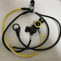 Item thumbnail for item 7fcf08d4-c566-491d-801c-d4667ff45aa6