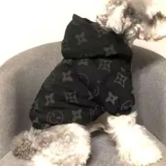 Item thumbnail for item c1d581b3-5552-45a1-a7da-322ecec3d20b