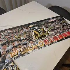 2025年最新】優勝 阪神タイガース 85の人気アイテム - メルカリ