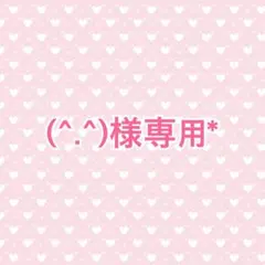 【(^.^)様専用*】