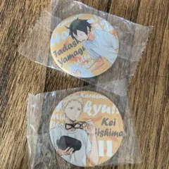 ハイキュー　缶バッジセット　準備　月島蛍　山口忠