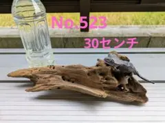 アク抜き済み流木　No.161 超レア型 アク抜き済み流木 No.161 超レア型