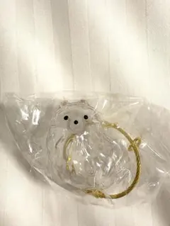 うちの子のけだまだま　ポメラニアン