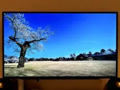 LGゲーミングモニター UltraGear 27GR95QE-B 26.5インチ