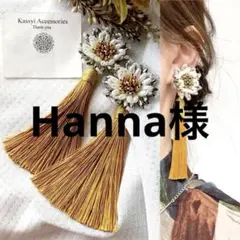 Hanna様 リクエスト 2点 サージカルステンレスピアス