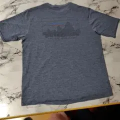 patagonia キャプリーンクールデイリー Sのサムネイル