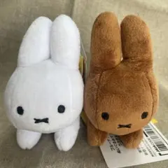 Item thumbnail for item d5fcb200-ad2f-482d-940b-42f0736235a6