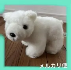 旭山動物園　ホッキョクグマ　しろくま　ぬいぐるみ　白クマ　シロクマ　白熊