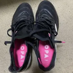 Item thumbnail for item c75b4a05-33ba-4038-a50a-6965dae62c23