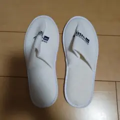 Item thumbnail for item 2d8b04b7-d73d-4d3d-9a91-337aaf25f26a