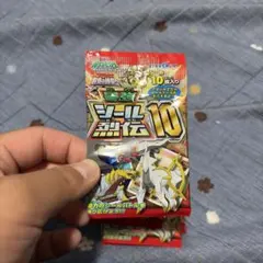ポケモン　シール　ダイパ　希少　激レア　10周年 ポケモン シール ダイパ 希少 激レア 10周年 【公式通販】