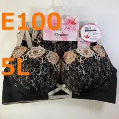 【E100/5L】ブラ・ショーツセット★2点以上で各200円引★41216061