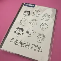 スヌーピー　Peanuts B6マンスリー手帳　スケジュール帳