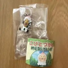 こびとづかん めじるしフレンズ　めじるしアクセサリー