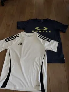 Item thumbnail for item ebb93769-5adc-4f9a-b85f-e94dda2ec85a