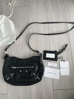 Item thumbnail for item 456a9859-b8eb-42bd-8261-5a534b94ca18