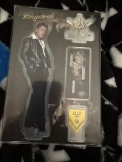 三代目 JSB ELLY KINGDOM アクスタ