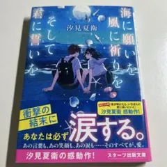 海に願いを 風に祈りを そして君に誓いを