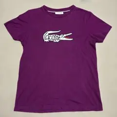 ラコステ　ワニ　ビッグロゴ　Tシャツのサムネイル