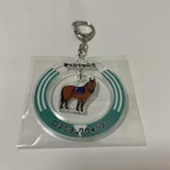 2024年GIレース優勝馬アクリルキーホルダー ロマンチックウォリアー