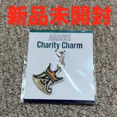 嵐 Beautiful World チャリティーチャーム　チャーム　キーホルダー