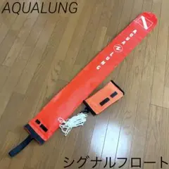 Item thumbnail for item ddc5cf1f-a8a9-43a1-aae0-94d42602dae0