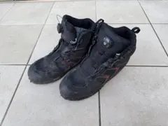 Item thumbnail for item aa03b550-d2d5-4742-a7fb-dd2e75aea3b4