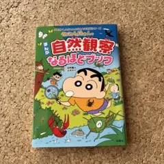 Item thumbnail for item 9333c978-81af-4c4c-933a-99d5416a7e19