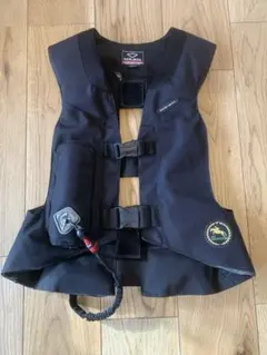 Item thumbnail for item 33d7c288-809c-4e4c-91b3-8bee26fb3def