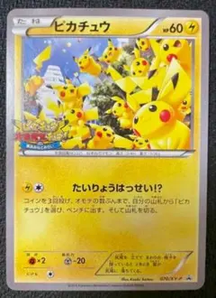 【カルピスsenseさん専用】ピカチュウ PROMO XYシリーズプロモーション 日本代表のピカチュウ: プロモ[XY-P 050/XY-P](プロモーションカード