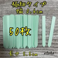 ミント　50枚 多肉植物 アガベ サボテンに◎ 園芸用 ラベル ネームラベルのサムネイル